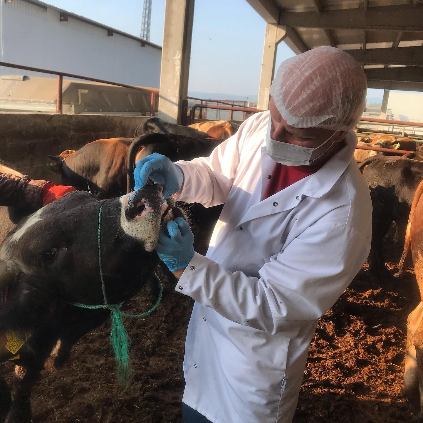 Canlı yayın arka plan görseli